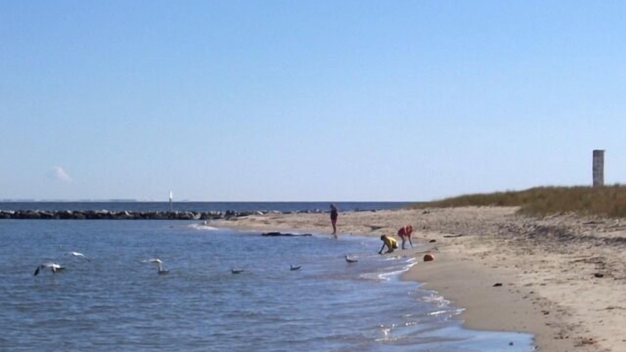 Photo of Others in Calvert Beach-Long Beach