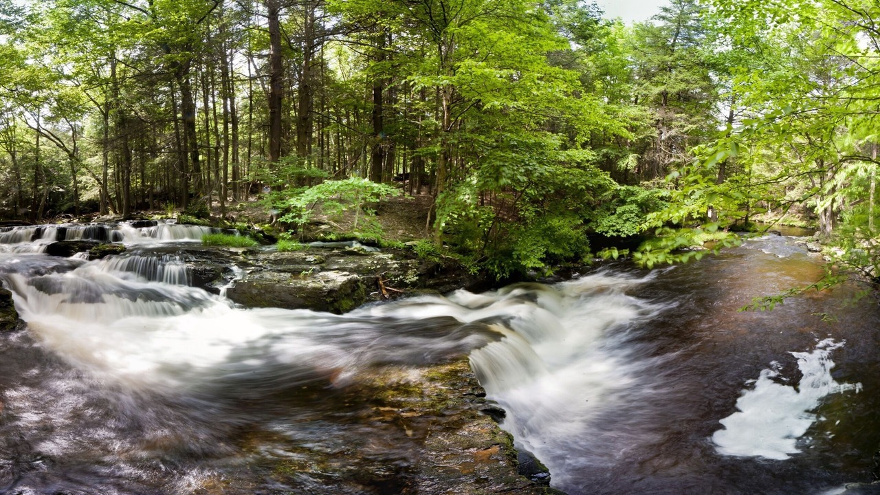Photo of Outdoor in Milford