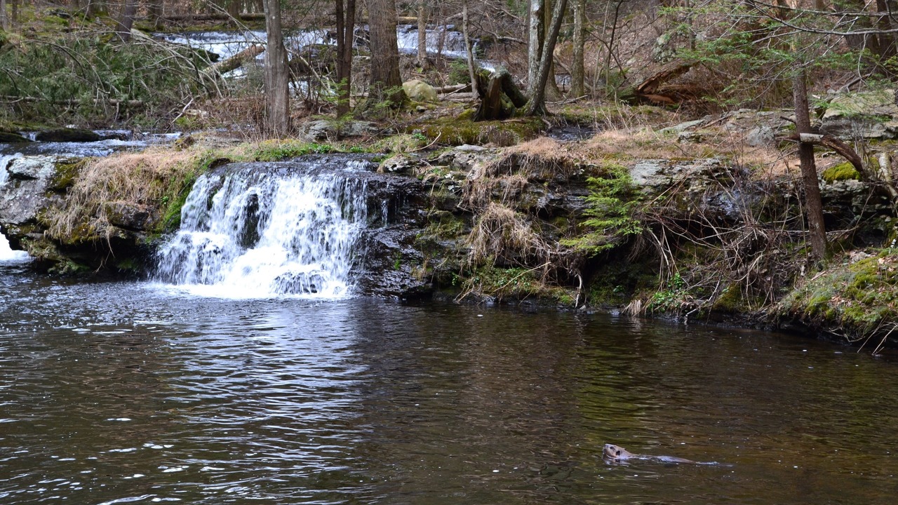 Photo of Outdoor in Milford