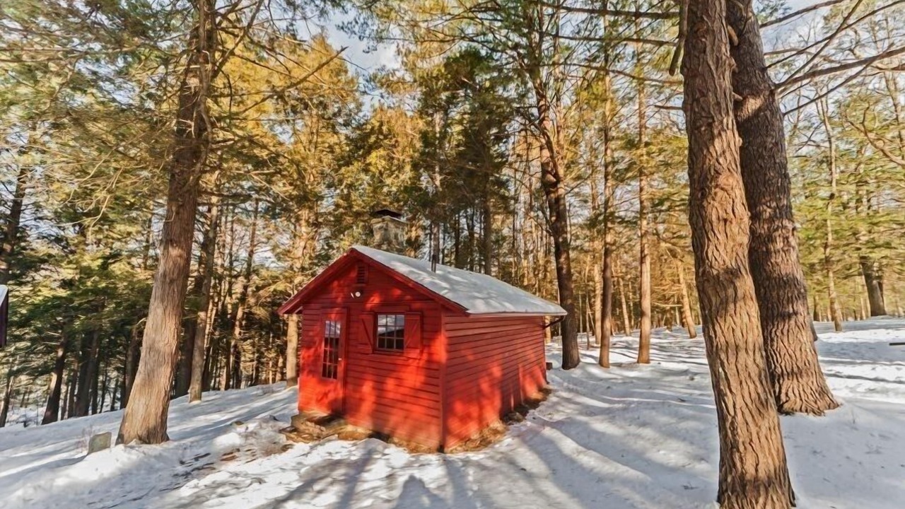 Photo of Outdoor in Milford