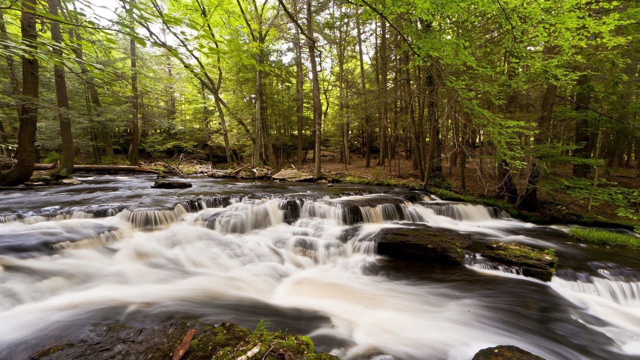 Photo of Outdoor in Milford
