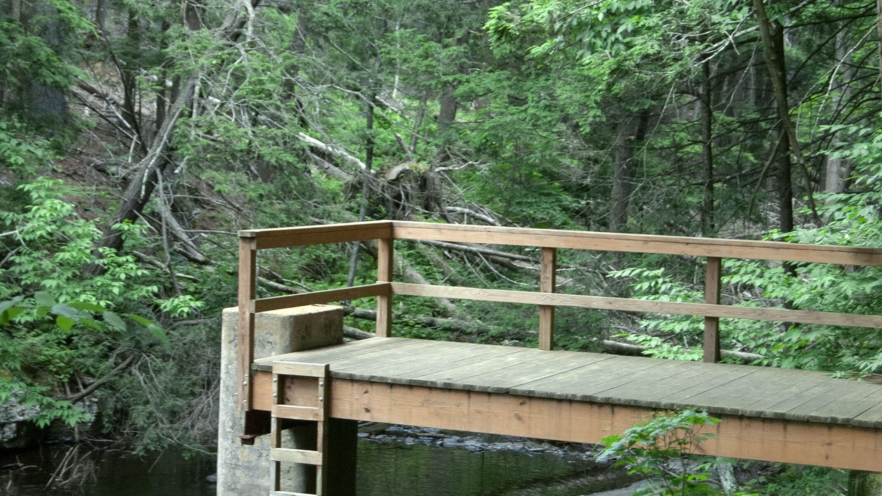 Photo of Others in Milford