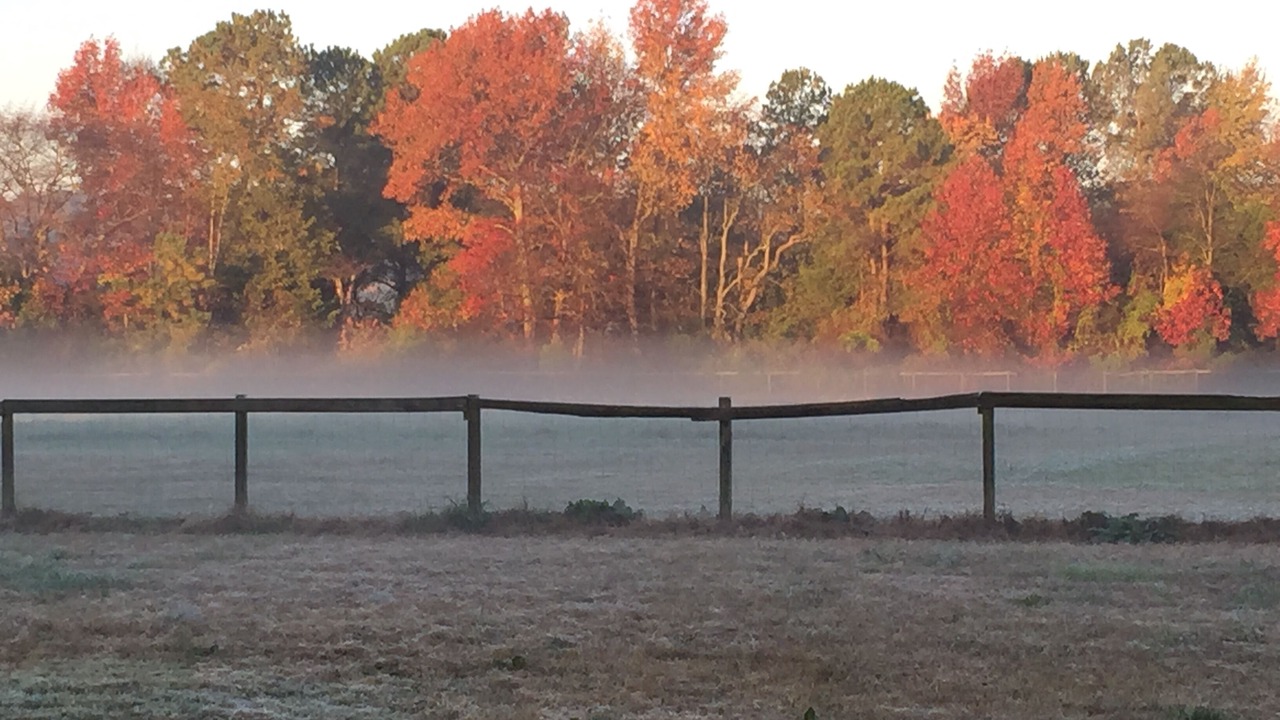 Photo of Others in Centreville