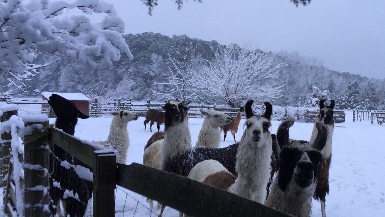 Photo of Outdoor in Centreville