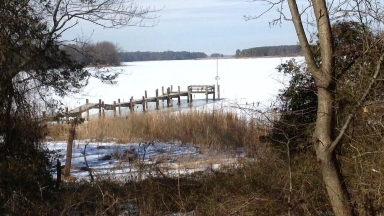 Photo of Others in Centreville