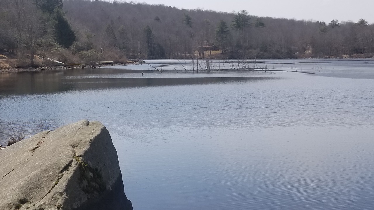 Photo of Outdoor in Smallwood