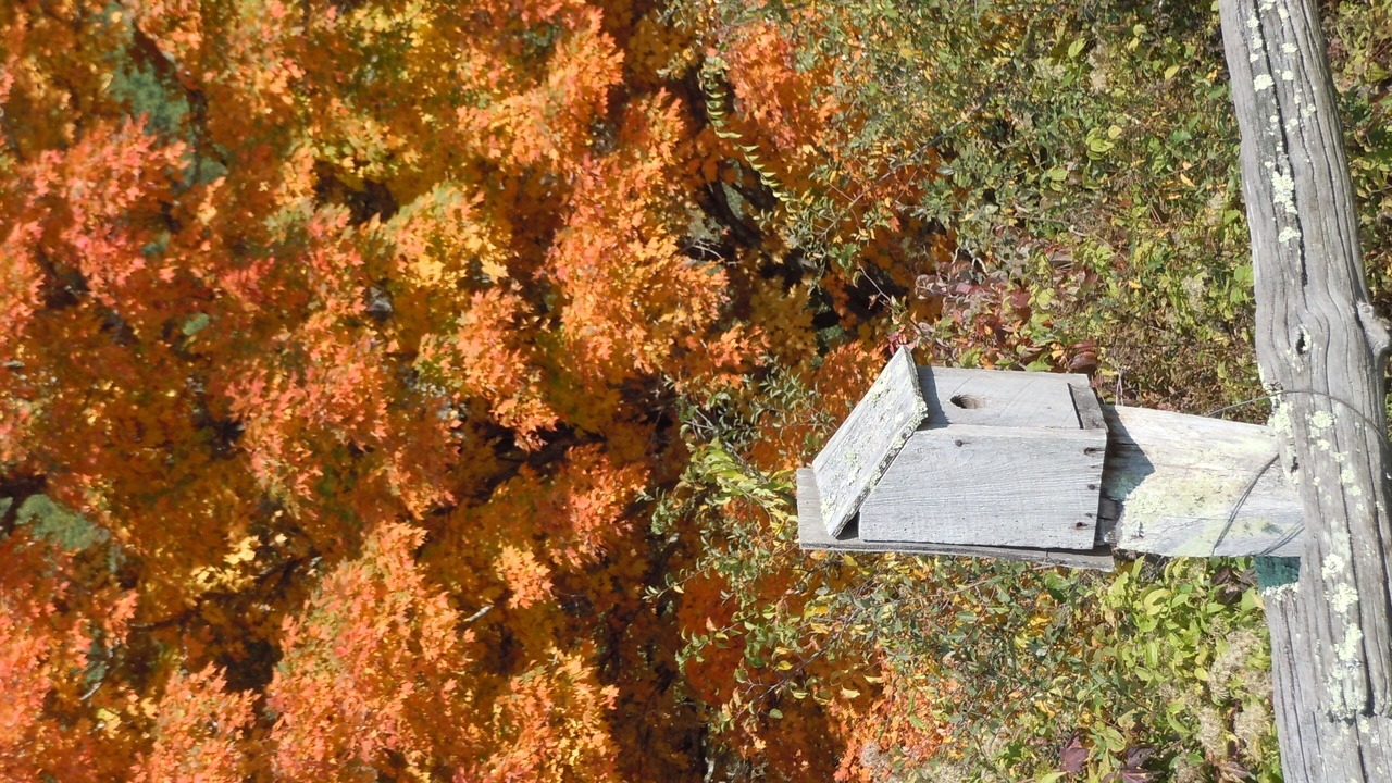 Photo of Outdoor in Warm Springs