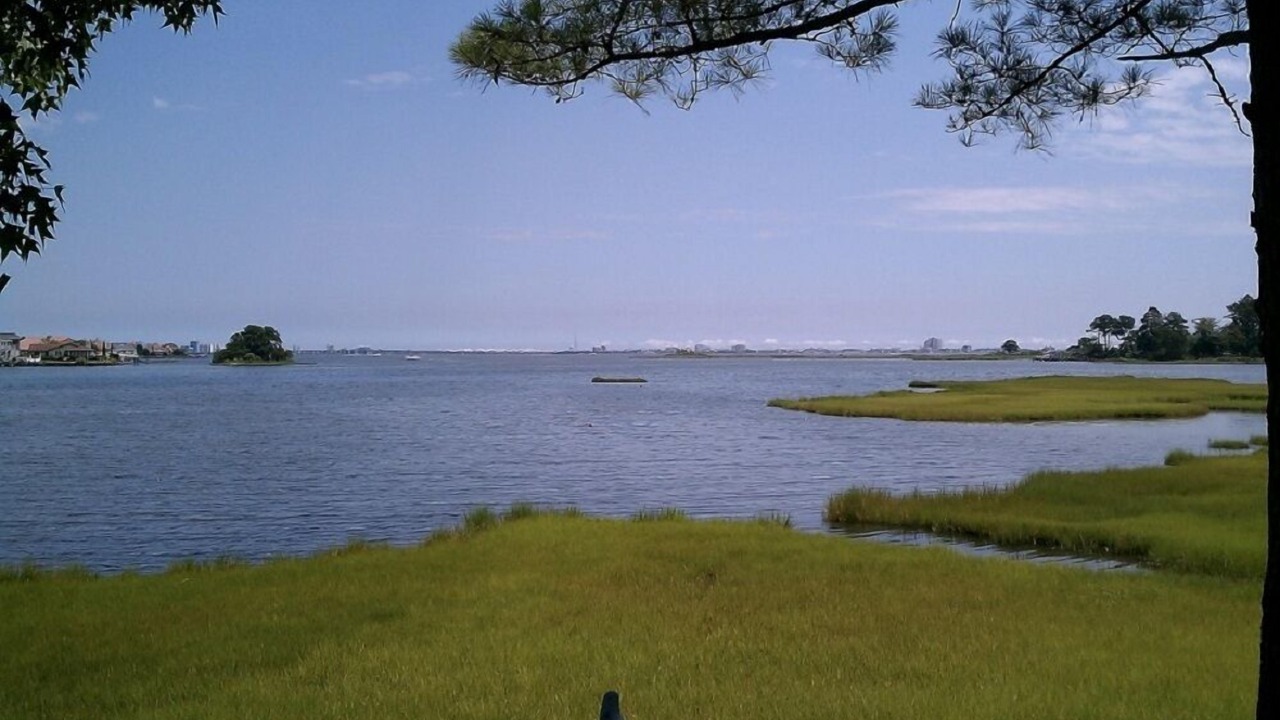 Photo of Others in Ocean Pines