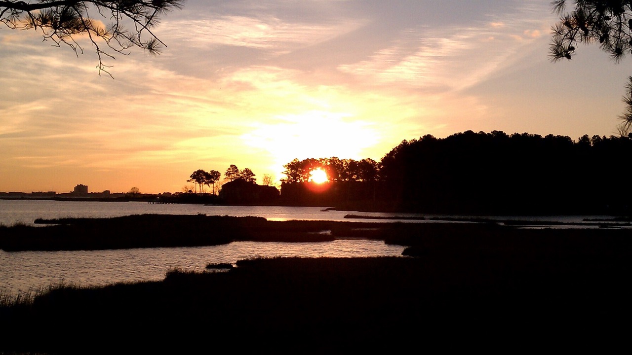Photo of Others in Ocean Pines
