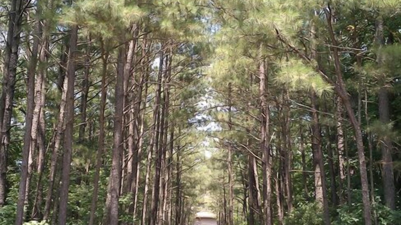 Photo of Others in Ocean Pines
