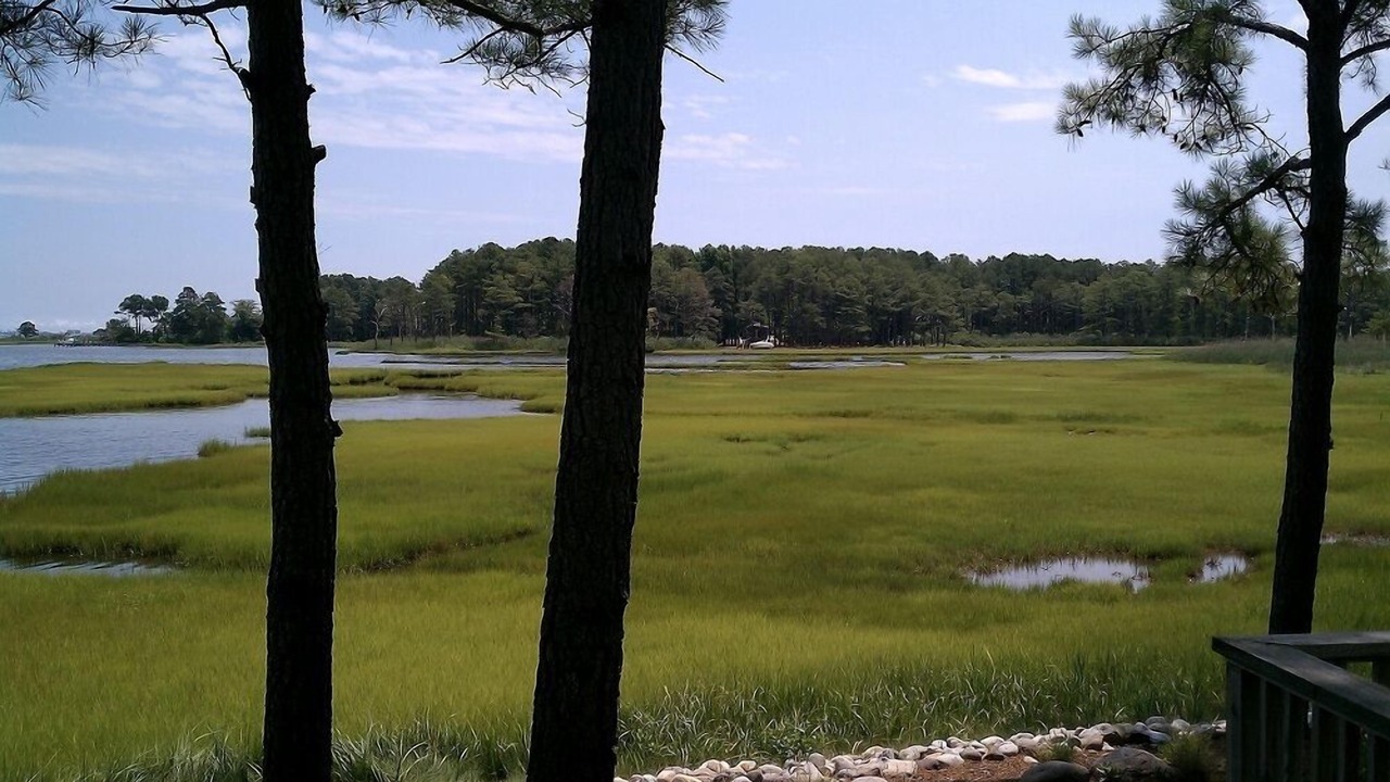Photo of Others in Ocean Pines