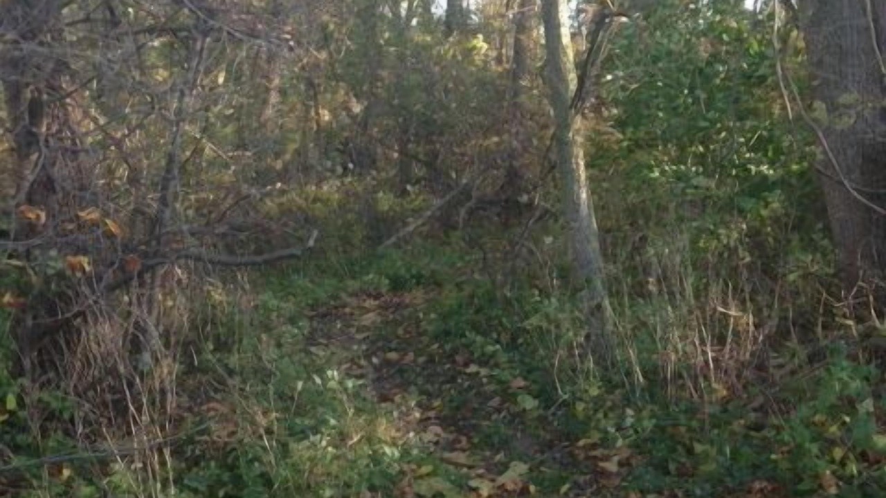 Photo of Others in Strasburg