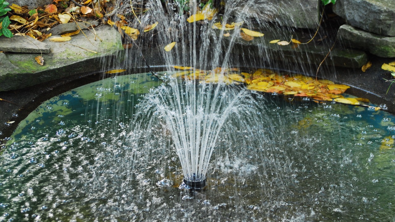 Photo of Outdoor in West Elmira