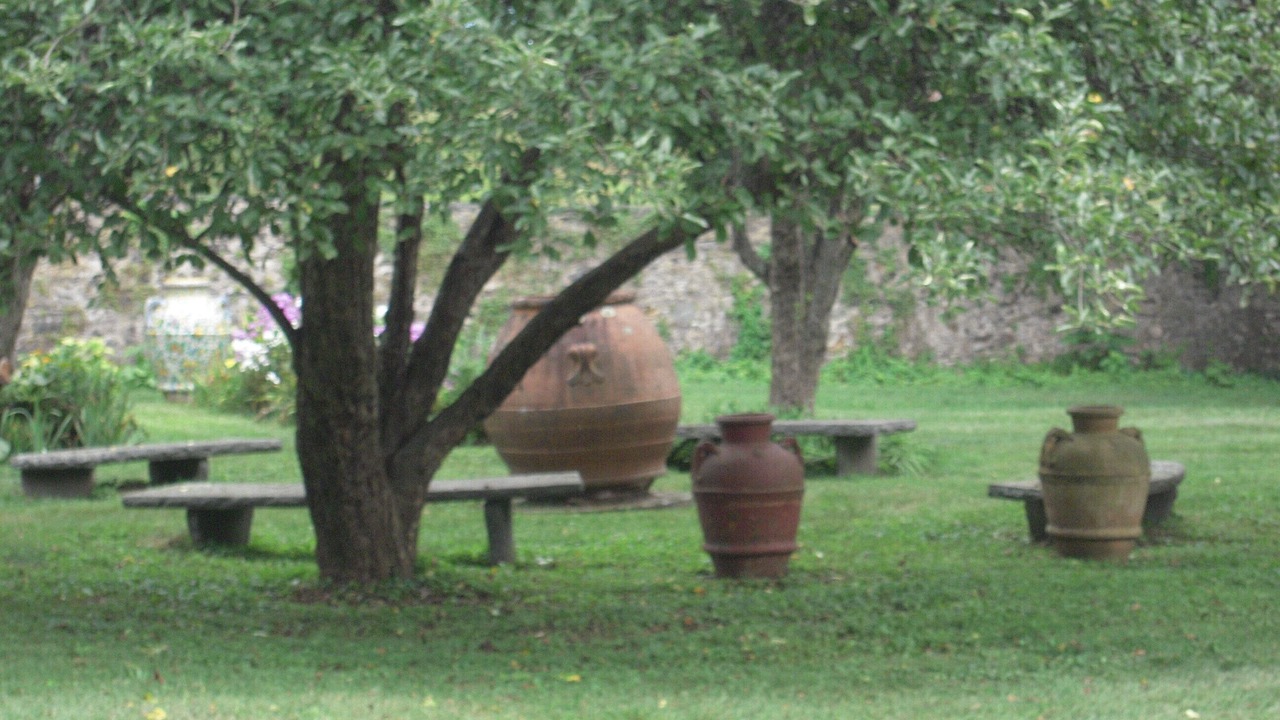 Photo of Outdoor in Milford