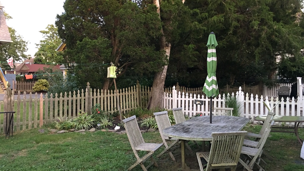 Photo of Others in Cape May