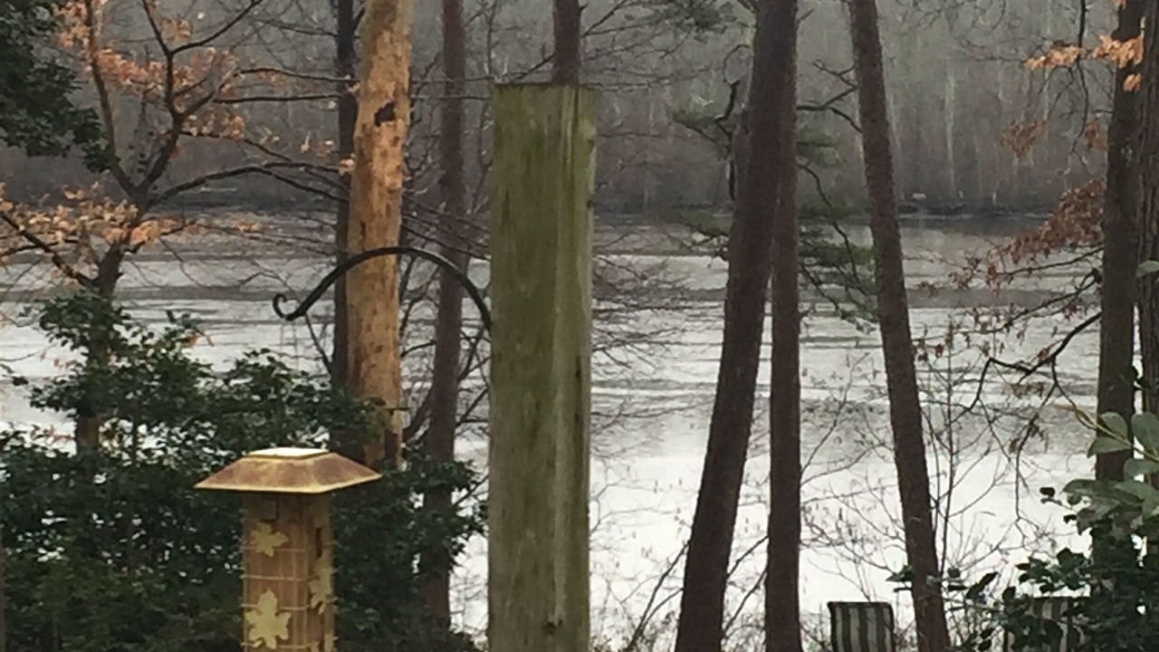 Photo of Outdoor in Greensboro
