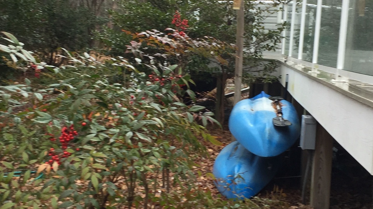 Photo of Outdoor in Greensboro