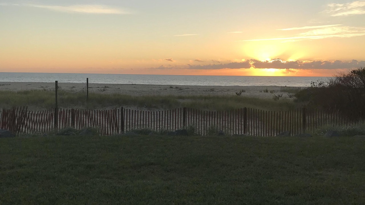 Photo of Others in Long Branch