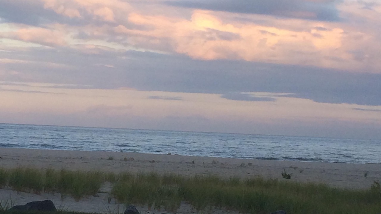 Photo of Others in Long Branch