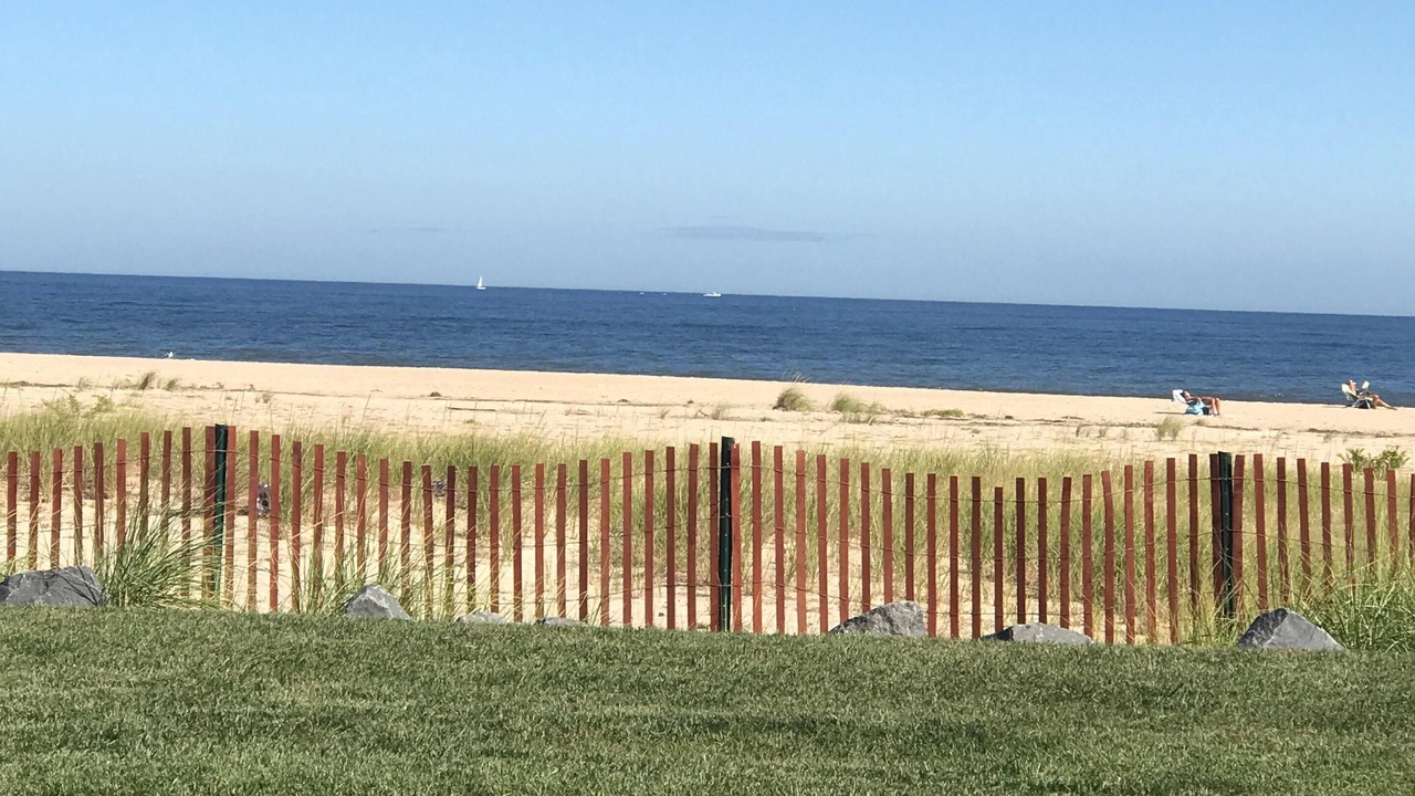 Photo of Others in Long Branch