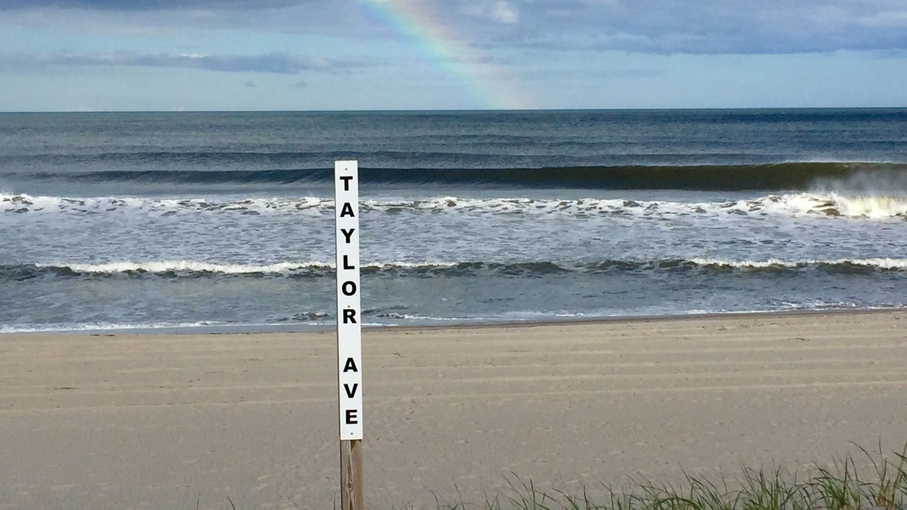 Photo of Others in Beach Haven