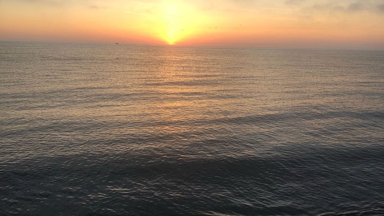 Photo of Others in North Cape May