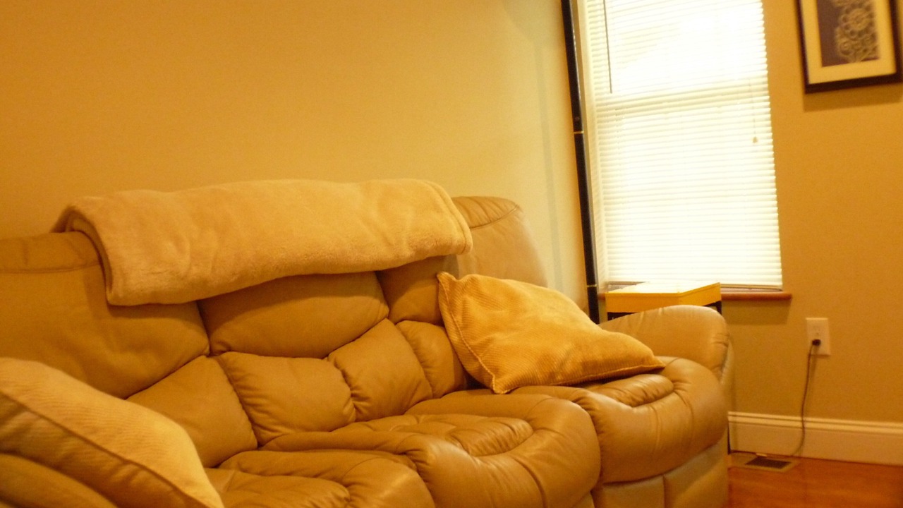Photo of Livingroom in King of Prussia