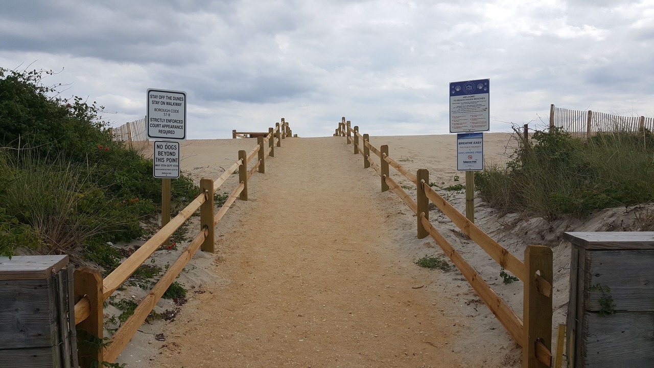 Photo of Others in Beach Haven