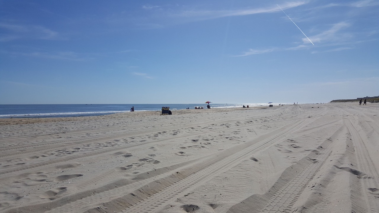 Photo of Others in Beach Haven