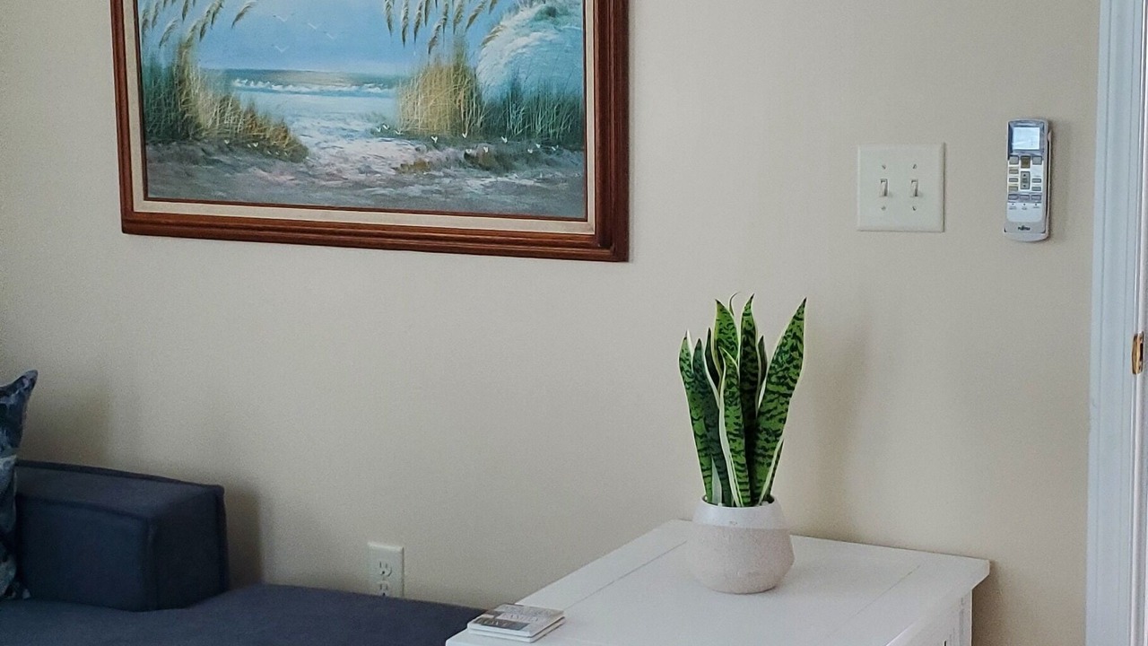 Photo of Livingroom in Ship Bottom