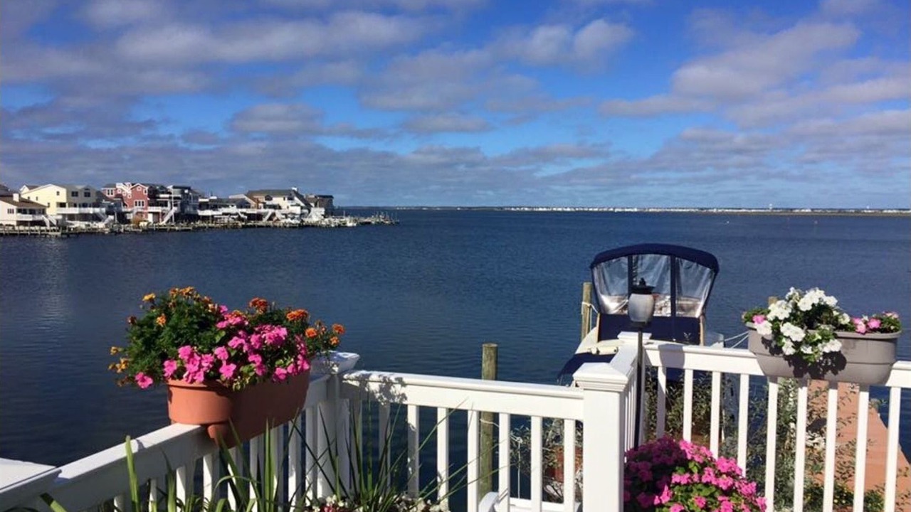 Photo of Outdoor in Ship Bottom