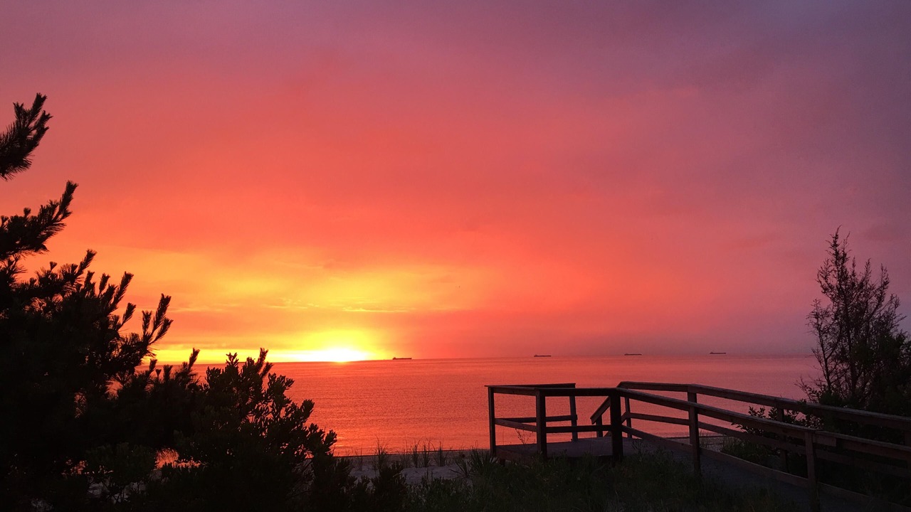 Photo of Outdoor in Slaughter Beach