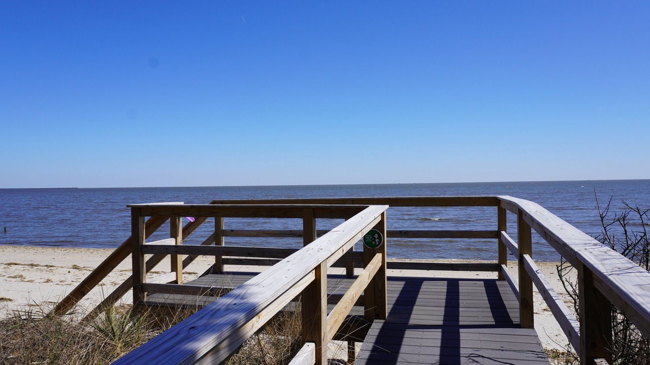 Photo of Others in Slaughter Beach