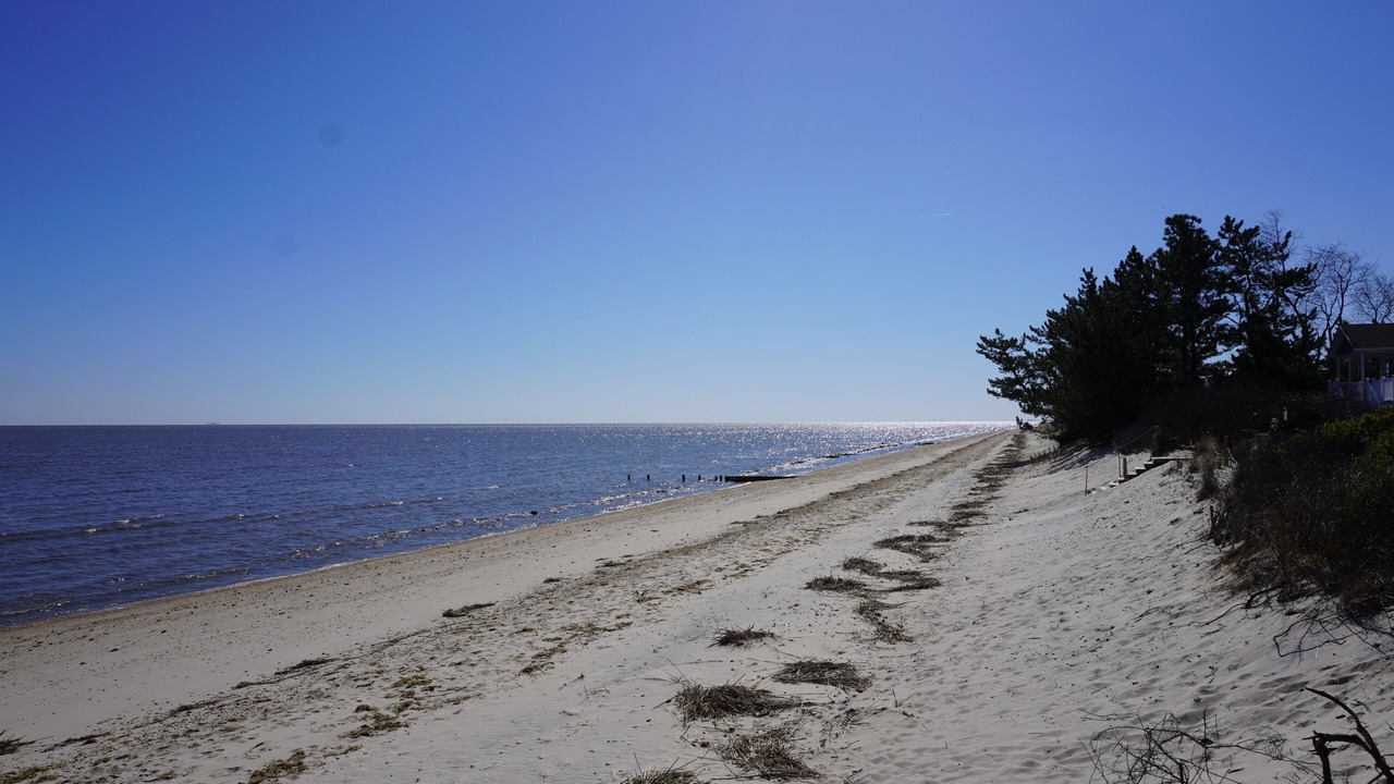 Photo of Others in Slaughter Beach