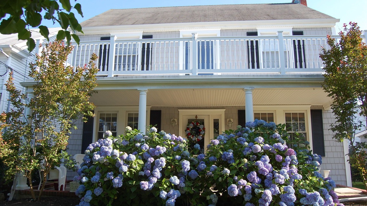 Photo of Outdoor in Spring Lake