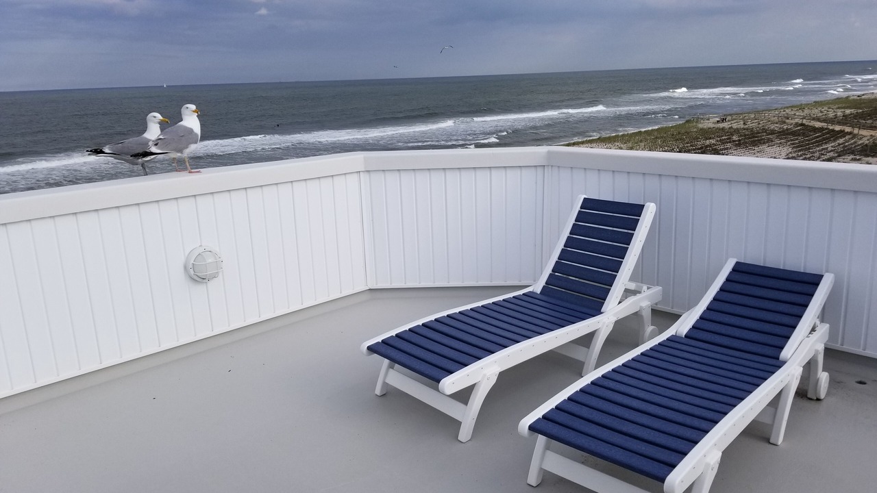 Photo of Others in Harvey Cedars
