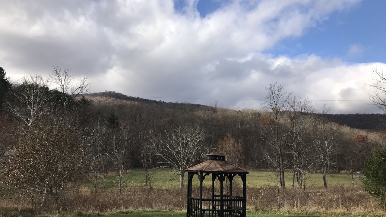Photo of Outdoor in Ellerslie