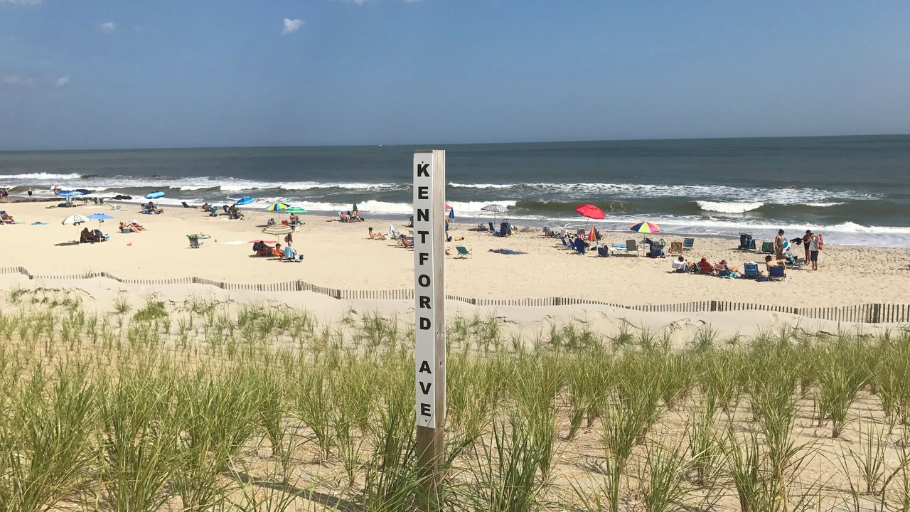Photo of Others in South Beach Haven