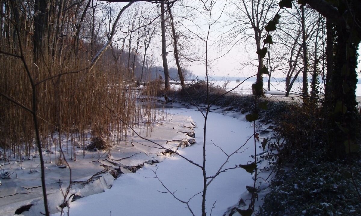 Photo of Others in Perryville