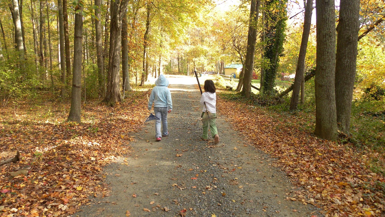 Photo of Others in Perryville
