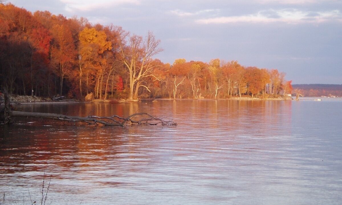 Photo of Others in Perryville