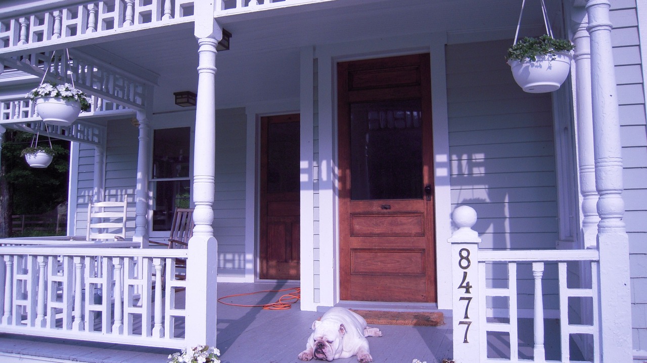 Photo of Outdoor in Long Eddy