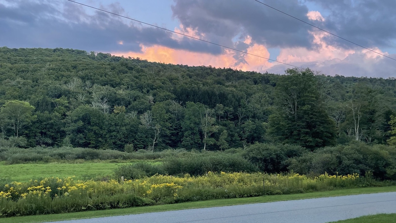 Photo of Others in Long Eddy