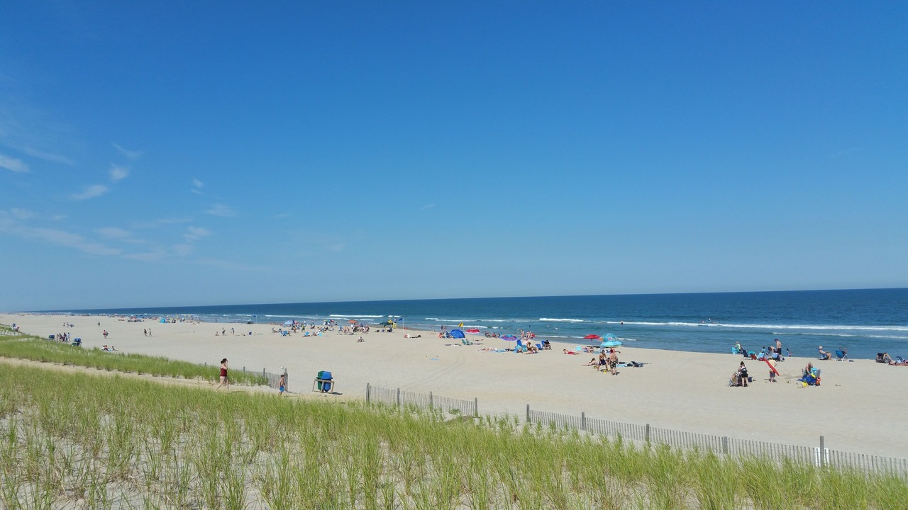Photo of Others in Beach Haven Terrace