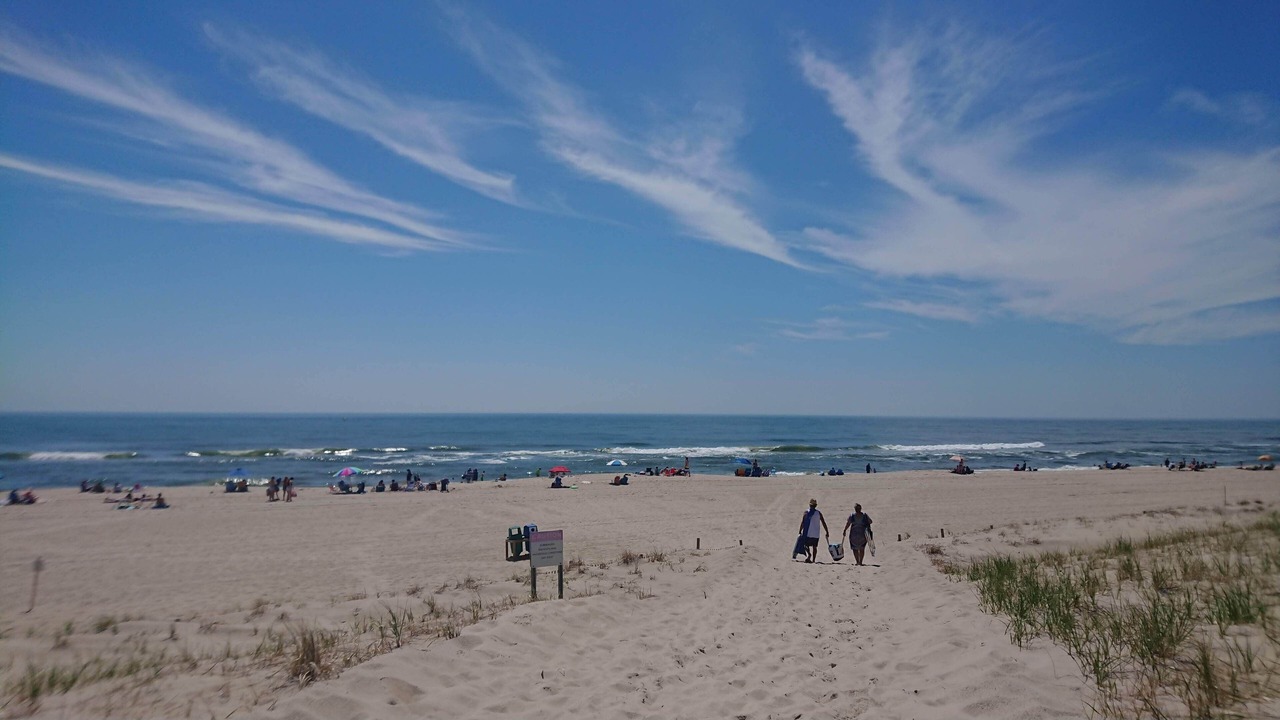 Photo of Others in Beach Haven Terrace