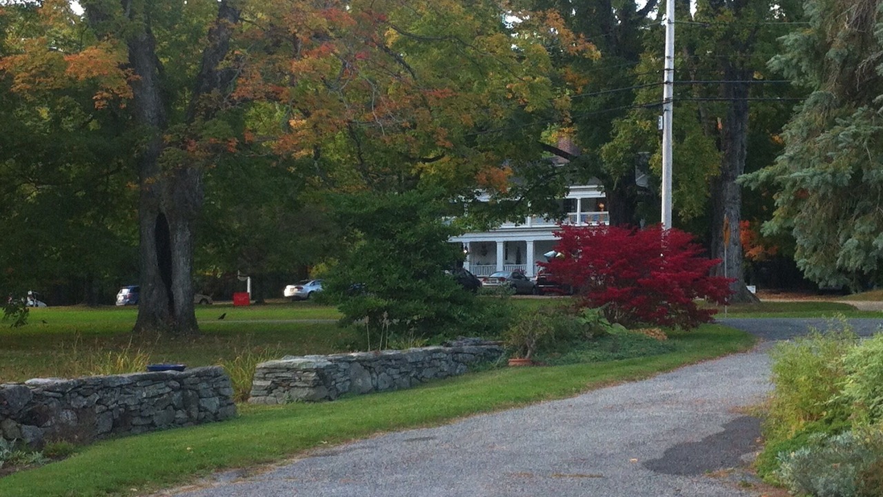 Photo of Others in New Marlborough