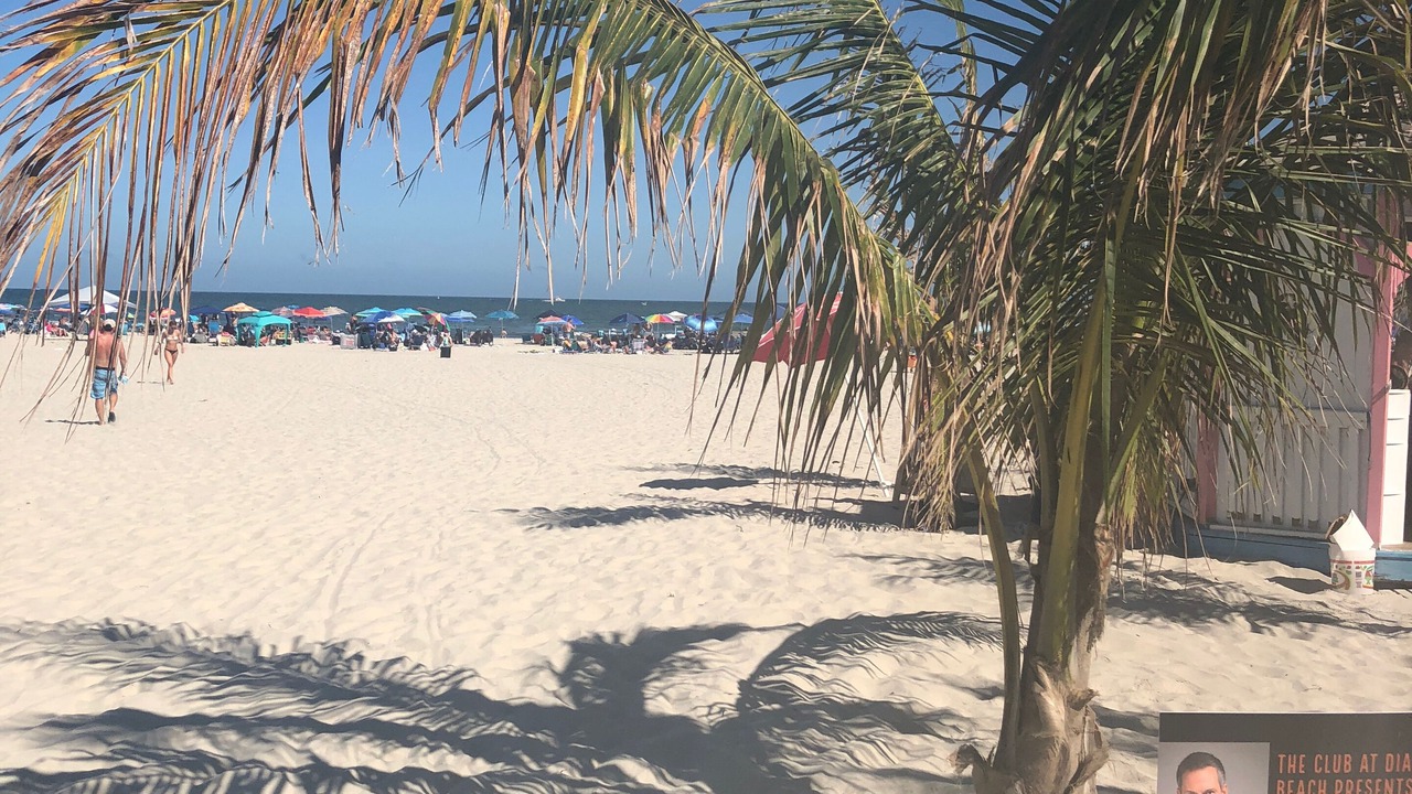 Photo of Others in Diamond Beach