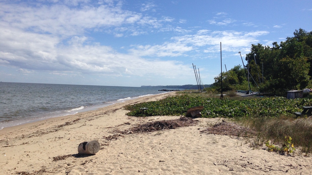 Photo of Others in Port Republic