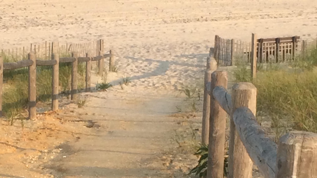 Photo of Others in Harvey Cedars