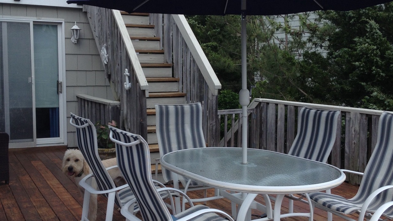 Photo of Others in Harvey Cedars